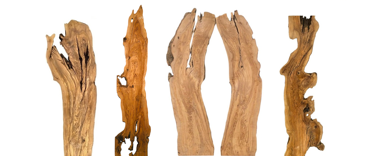 Seltene große Olivenholz Bohlen – massive Unikate aus alten Olivenbäumen Große seltene Olivenholz Bohlen aus alten Olivenbäumen – massive Unikate mit einzigartiger Maserung