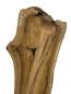 Preview: Olivenholzbohle Kunstvolle und stabile Bohle mit natürlicher Form und auslaufender Seite – ein wahres Naturkunstwerk.