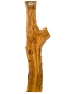 Preview: 180 cm Olivenholz Brett mit Gabelung und TOP Maserung 1209