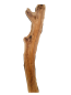 Preview: 210 cm Olivenholz Bohle Rustikal Urig mit Baumoptik 1211