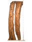Preview: 235 cm Olivenholz Bohlen - Epoxidharz Tisch Rohlinge Set Z19