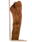 Preview: Sehr große Olivenholzbohle – ideal für kreative Projekte und hochwertige Möbelstücke, mit einzigartigem Charakter aus einem 400 Jahre alten Baum.
