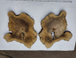 Preview: 2 Olivenholz Baumscheiben Zwillinge 40x50x3cm TROCKEN
