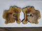Preview: 2 Olivenholz Baumscheiben Zwillinge 40x50x3cm TROCKEN