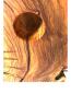 Preview: Olivenholz Weinflaschenhalter/schwebende Flasche Art.Nr. W21