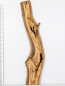 Preview: Olivenholzbohle 207,5–213 x 24–64 x 4 cm – Trockenes Olivenholz Rohware Baumoptik - B643