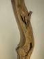 Preview: Olivenholz Brett 213 cm Art. Nr. B643