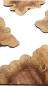 Preview: Dünne XXL-Olivenbaum-Scheiben (12–14 mm) – 380–400 Jahre alt & ideal für kreative DIY-Projekte 1224