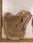 Preview: 2 identische Olivenholz Baumscheiben – Geschliffene und luftgetrocknete Querschnitte aus Olivenbaum