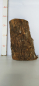 Preview: trockenes-Olivenholz-Rohware-Stammstück-500