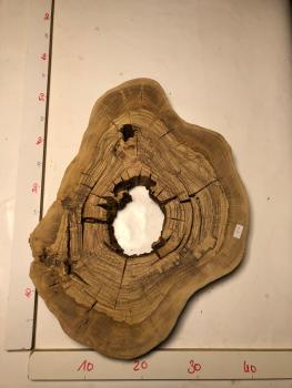 Urige Olivenbaum-Scheibe mit zentralem Loch, ideal zum Füllen mit Epoxidharz und bereit für kreative Projekte.