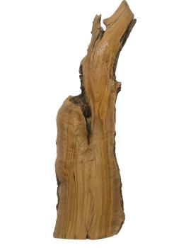 Massives, einzigartiges Olivenholzbrett aus einem 400 Jahre alten Baum – ideal für kreative Projekte und handwerkliche Anwendungen.