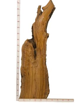 Massives, einzigartiges Olivenholzbrett aus einem 400 Jahre alten Baum – ideal für kreative Projekte und handwerkliche Anwendungen.