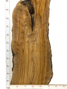 Massives, einzigartiges Olivenholzbrett aus einem 400 Jahre alten Baum – ideal für kreative Projekte und handwerkliche Anwendungen.