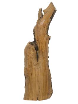 Massives, einzigartiges Olivenholzbrett aus einem 400 Jahre alten Baum – ideal für kreative Projekte und handwerkliche Anwendungen.
