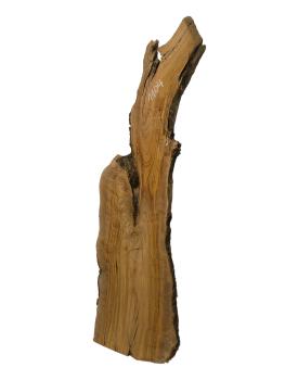 Massives, einzigartiges Olivenholzbrett aus einem 400 Jahre alten Baum – ideal für kreative Projekte und handwerkliche Anwendungen.