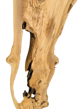 175 cm Olivenholz-Platte mit Baumgabelung – Ideal für Lowboard oder Theke mit Epoxidharz 1216