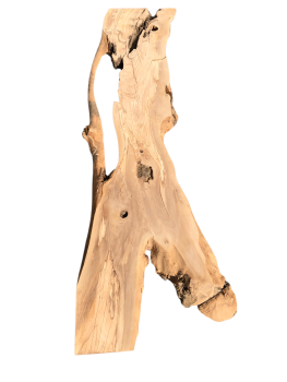 175 cm Olivenholz-Platte mit Baumgabelung – Ideal für Lowboard oder Theke mit Epoxidharz 1216