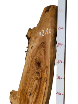 215 cm Olivenholz Brett mit schwungvoller S Form 1210