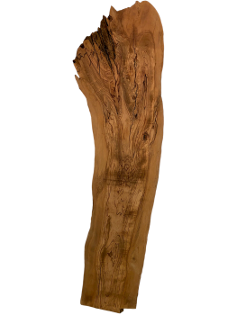 Sehr große Olivenholzbohle – ideal für kreative Projekte und hochwertige Möbelstücke, mit einzigartigem Charakter aus einem 400 Jahre alten Baum.