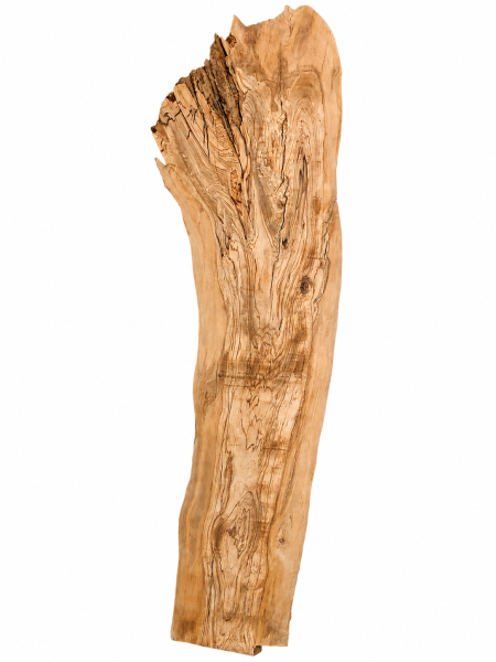 Olivenholz Bohle 165 cm – Rohware aus 400 Jahre altem Baum massiv trocken - 2503