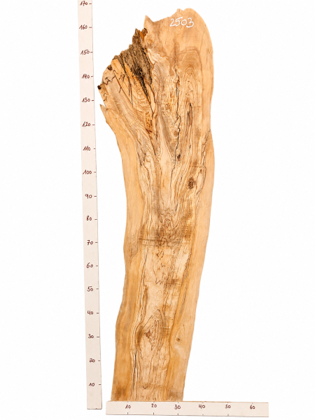 Preview: Olivenholz Bohle 165 cm – Rohware aus 400 Jahre altem Baum massiv trocken - 2503