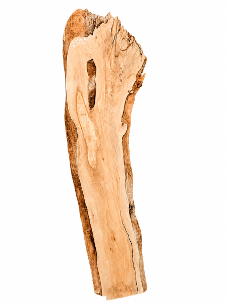 Preview: Olivenholz Bohle 165 cm – Rohware aus 400 Jahre altem Baum massiv trocken - 2503