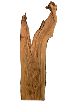 Sehr große Olivenholz Bohle mit fantastischer Maserung – ideal für Möbelstücke und kreative Holzarbeiten, aus einem 400 Jahre alten Baum.