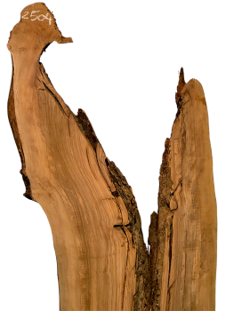 Sehr große Olivenholz Bohle mit fantastischer Maserung – ideal für Möbelstücke und kreative Holzarbeiten, aus einem 400 Jahre alten Baum.