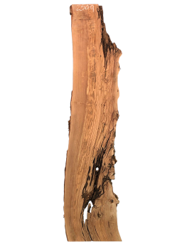Wilde und urige Olivenholzplatte mit einzigartigem Charakter, perfekt für kreative Epoxidharz-Projekte und handwerkliche Anwendungen.