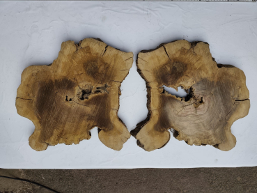 Preview: 2 Olivenholz Baumscheiben Zwillinge 40x50x3cm TROCKEN