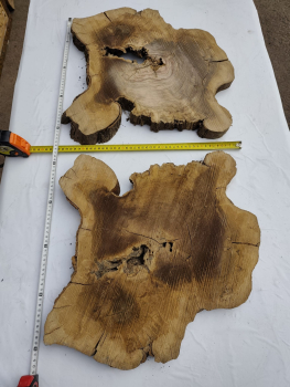 2 Olivenholz Baumscheiben Zwillinge 40x50x3cm TROCKEN