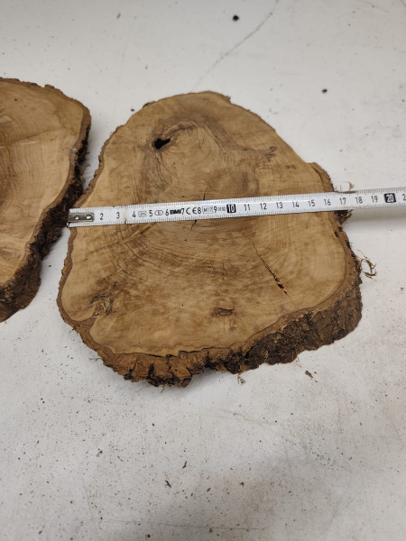 4 trockene Olivenholz Baumscheiben - 2 Zwillinge - voll massiv Nr. 79