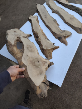 5er Set Olivenholzbretter – Trockenes Olivenholz für Moosbilder & Epoxidharz