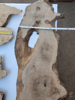 5er Set Olivenholzbretter – Trockenes Olivenholz für Moosbilder & Epoxidharz