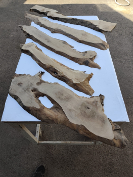 5er Set Olivenholzbretter – Trockenes Olivenholz für Moosbilder & Epoxidharz