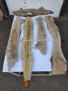 5er Set Olivenholzbretter – Trockenes Olivenholz für Moosbilder & Epoxidharz