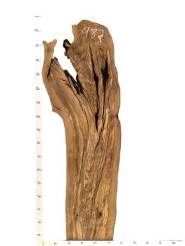 Rustikales, sehr großes Olivenholzbrett mit einzigartigem Charme aus einem 450 Jahre alten Baum – ideal für kreative Projekte und individuelle Designs.