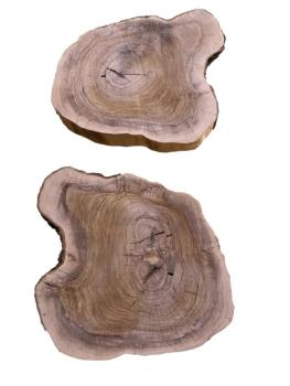 2 massive Olivenholz Baumscheiben – Vorgehobelte und luftgetrocknete Olivenholz Querschnitte