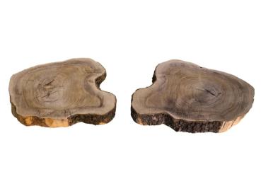 2 massive Olivenholz Baumscheiben – Vorgehobelte und luftgetrocknete Olivenholz Querschnitte