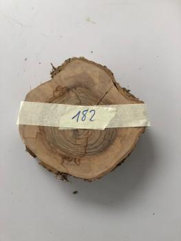 2er Set Olivenholzquerschnitte / Olivenbaumscheiben Art.Nr 182