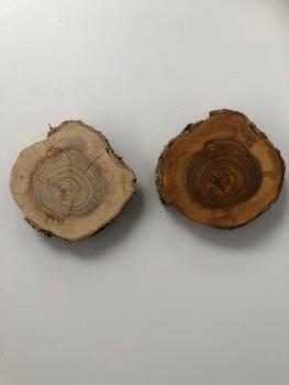 2er Set Olivenholzquerschnitte / Olivenbaumscheiben Art.Nr 182