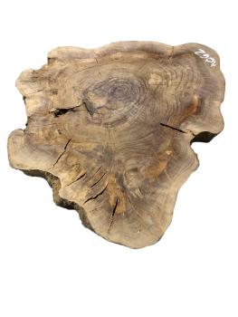 Kammergetrockneter Querschnitt vom Olivenbaum mit einzigartiger Form und Farbnuancen, ideal für individuelle Projekte.