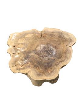 Kammergetrockneter Querschnitt vom Olivenbaum mit einzigartiger Form und Farbnuancen, ideal für individuelle Projekte.