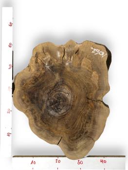 Kammergetrockneter Querschnitt vom Olivenbaum mit einzigartiger Form und Farbnuancen, ideal für individuelle Projekte.