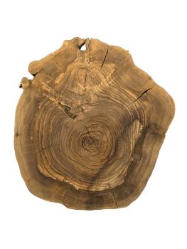 Kammergetrockneter Olivenholzquerschnitt, fast rund, ideal für individuelle Projekte mit dunklerer Farbgebung.