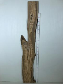 Über 2 Meter langes Olivenholz Brett mit Baumoptik – ideal für den Bau von Tischen oder Dekorationen.