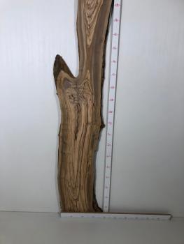 Über 2 Meter langes Olivenholz Brett mit Baumoptik – ideal für den Bau von Tischen oder Dekorationen.