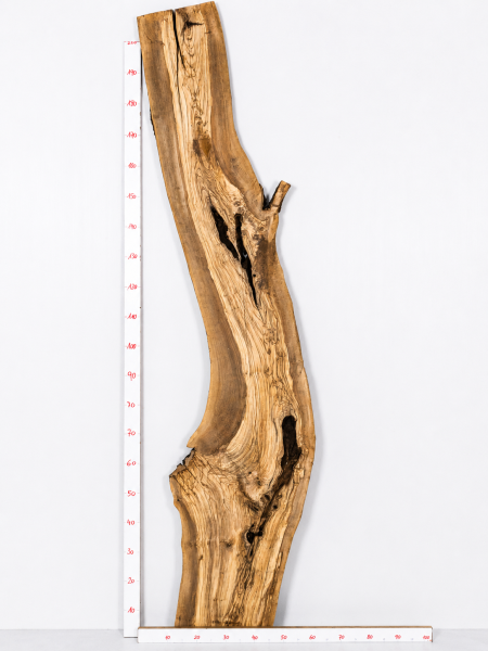 Olivenholzbohle 207,5–213 x 24–64 x 4 cm – Trockenes Olivenholz Rohware Baumoptik - B643