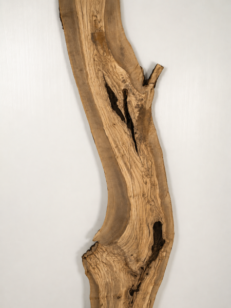 Olivenholzbohle 207,5–213 x 24–64 x 4 cm – Trockenes Olivenholz Rohware Baumoptik - B643
